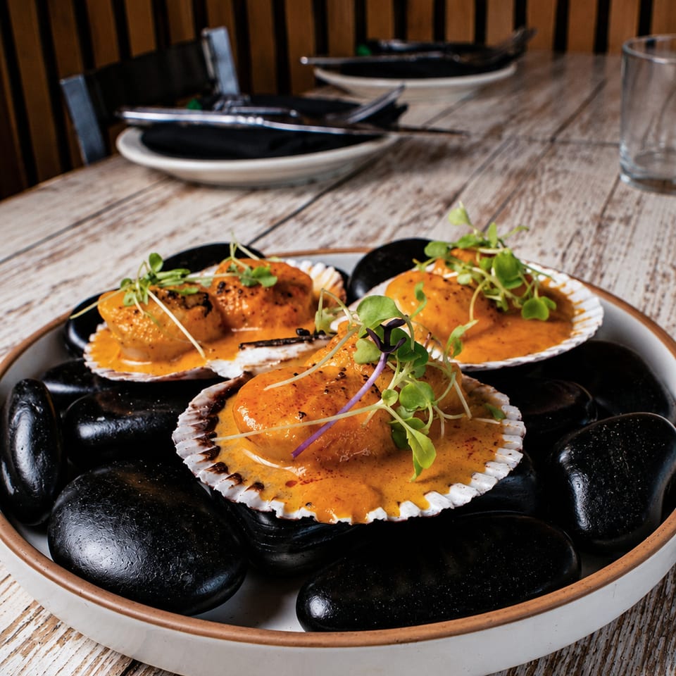 Three scallops in shells with orange sauce and microgreens, served on black stones.