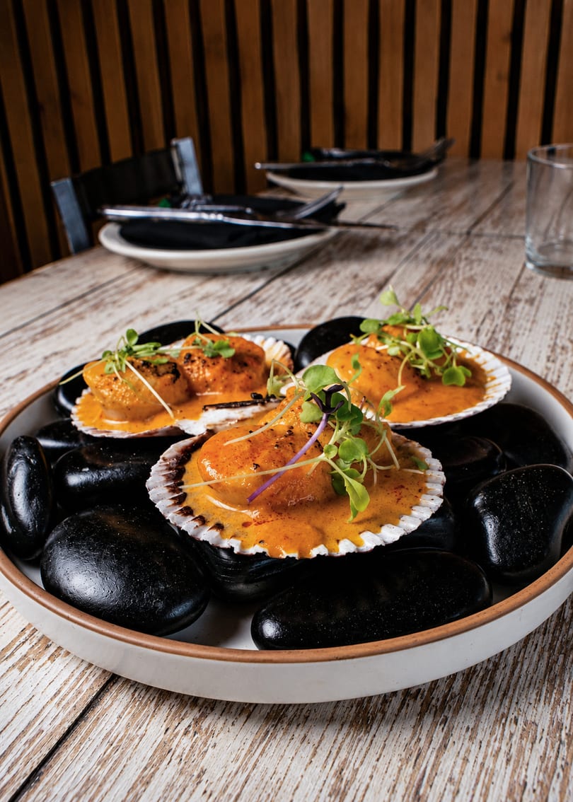 Three scallops in shells with orange sauce and microgreens, served on black stones.