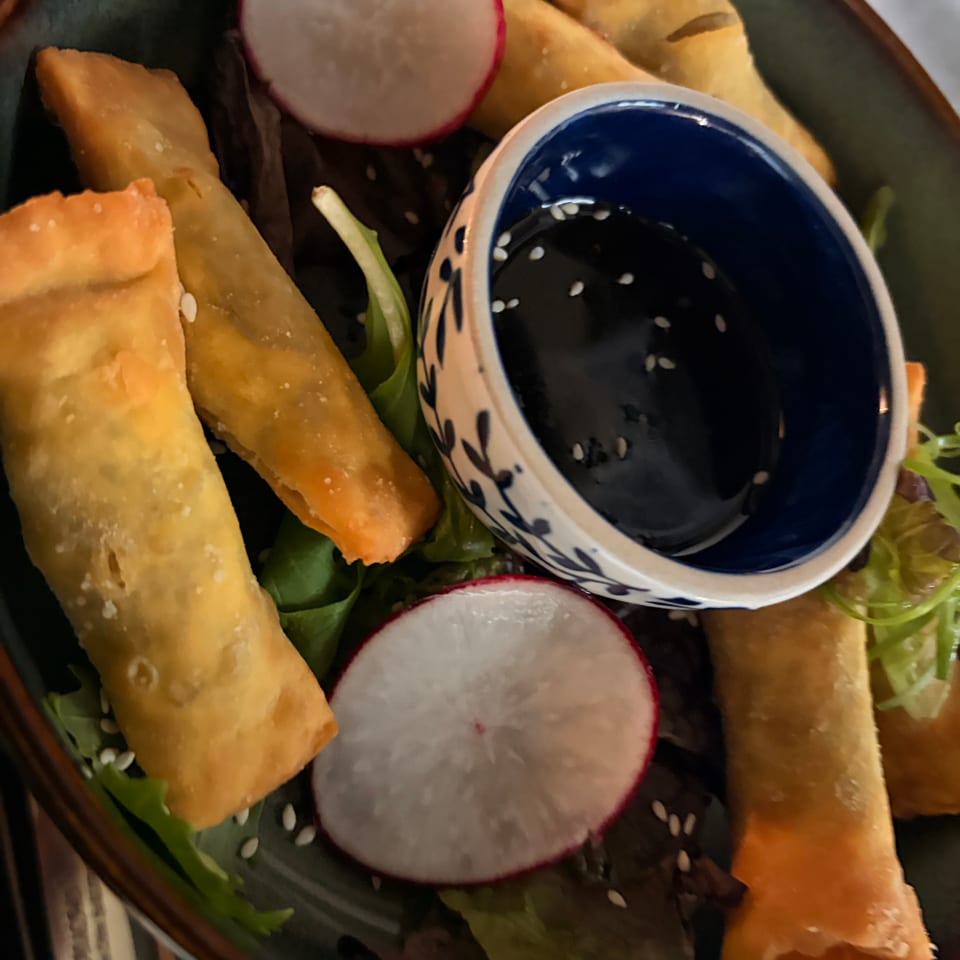 Crispy golden spring rolls served over mixed greens with radish slices and a bowl of dark dipping sauce.