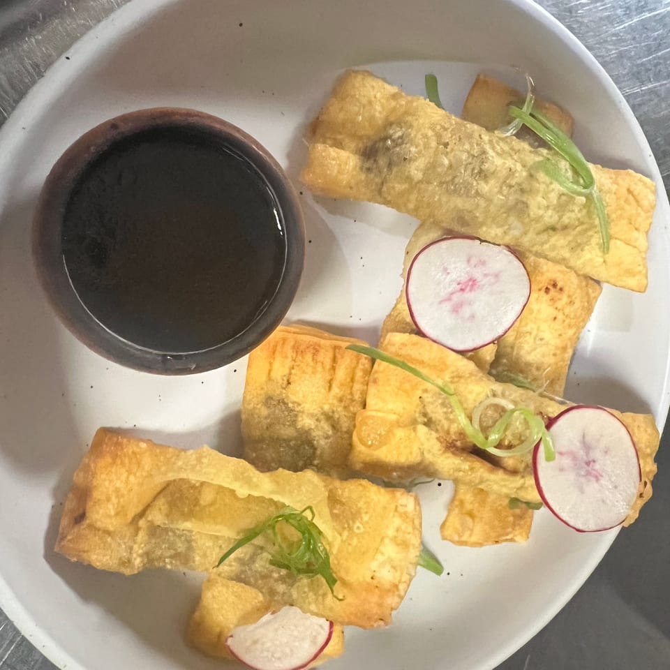 Crispy golden fried appetizers garnished with radish slices and scallions, served with dark dipping sauce on a white plate.